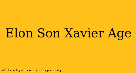 Elon Son Xavier Age