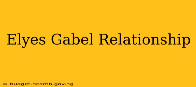 Elyes Gabel Relationship