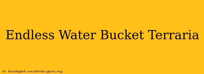 Endless Water Bucket Terraria
