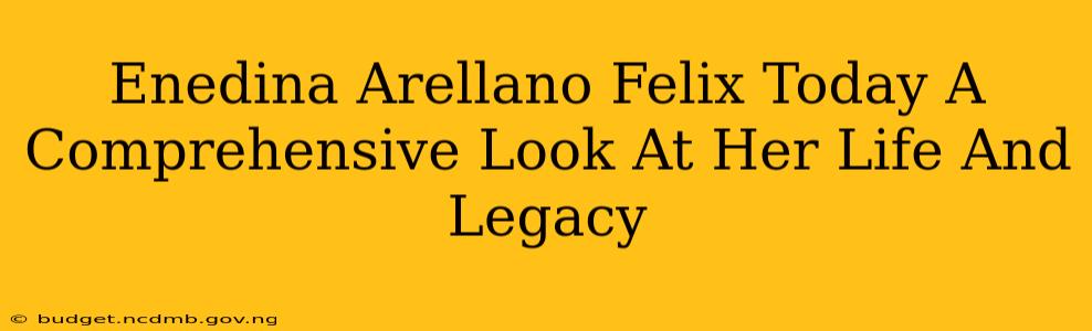 Enedina Arellano Felix Today A Comprehensive Look At Her Life And Legacy