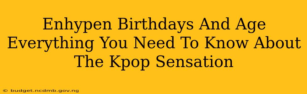 Enhypen Birthdays And Age Everything You Need To Know About The Kpop Sensation