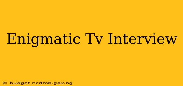 Enigmatic Tv Interview