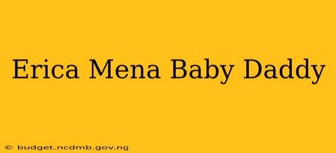 Erica Mena Baby Daddy