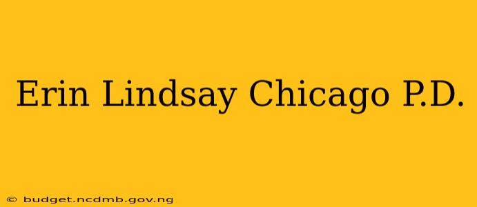 Erin Lindsay Chicago P.D.