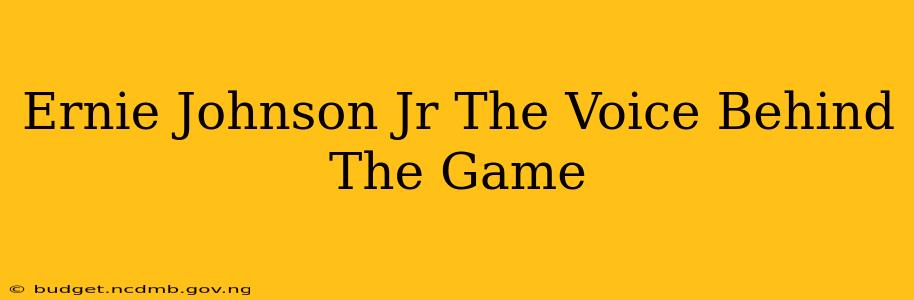 Ernie Johnson Jr The Voice Behind The Game