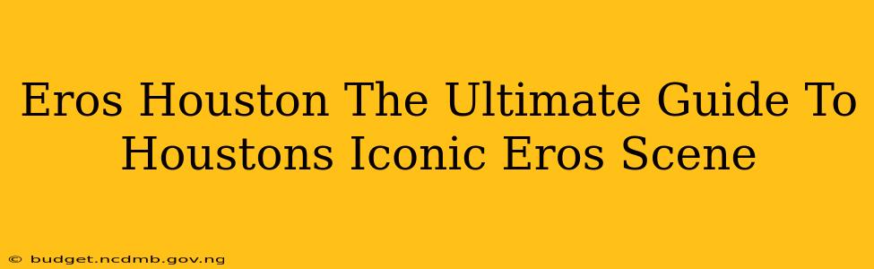 Eros Houston The Ultimate Guide To Houstons Iconic Eros Scene
