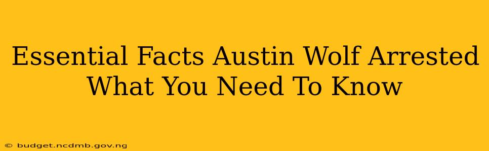Essential Facts Austin Wolf Arrested What You Need To Know