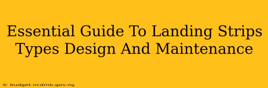 Essential Guide To Landing Strips Types Design And Maintenance