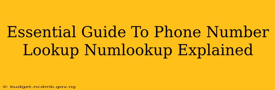 Essential Guide To Phone Number Lookup Numlookup Explained