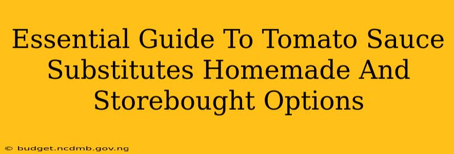 Essential Guide To Tomato Sauce Substitutes Homemade And Storebought Options