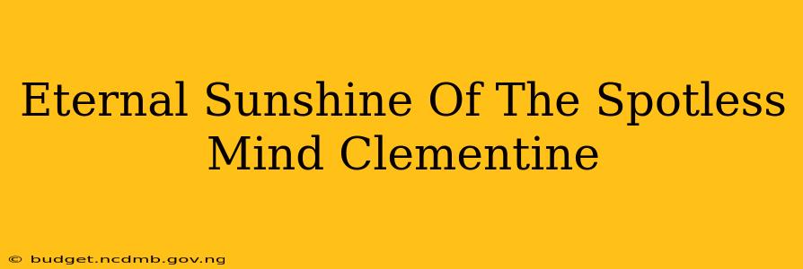 Eternal Sunshine Of The Spotless Mind Clementine