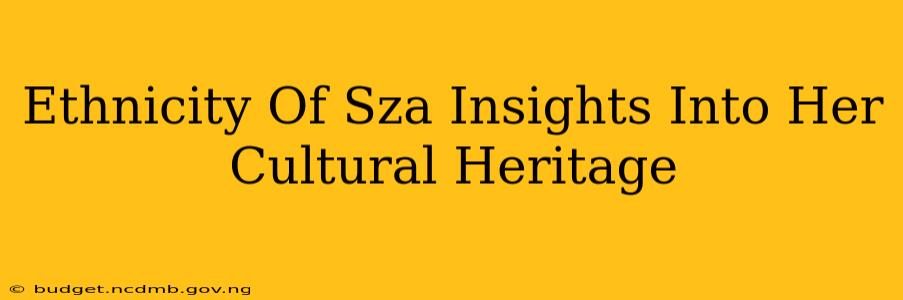 Ethnicity Of Sza Insights Into Her Cultural Heritage