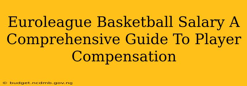 Euroleague Basketball Salary A Comprehensive Guide To Player Compensation