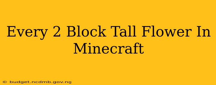 Every 2 Block Tall Flower In Minecraft