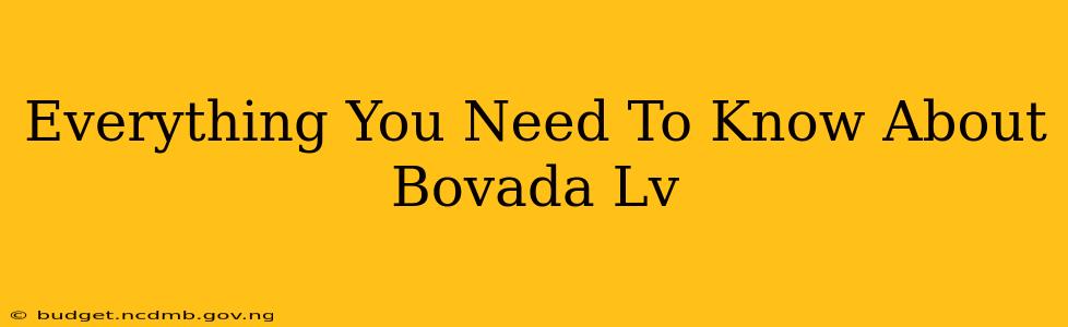 Everything You Need To Know About Bovada Lv