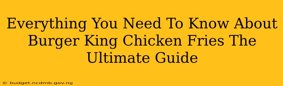 Everything You Need To Know About Burger King Chicken Fries The Ultimate Guide