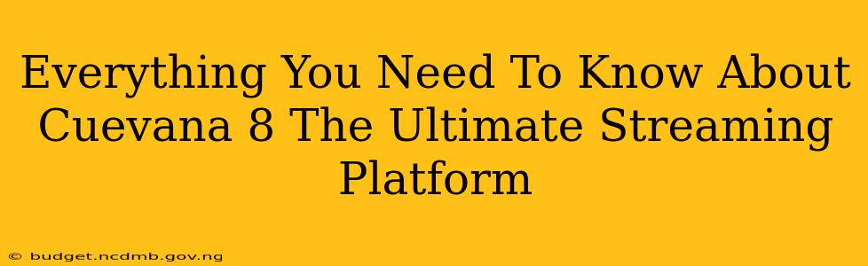 Everything You Need To Know About Cuevana 8 The Ultimate Streaming Platform