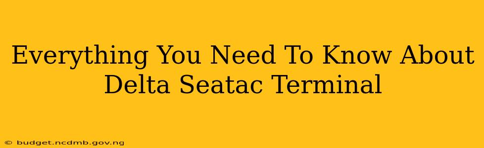 Everything You Need To Know About Delta Seatac Terminal