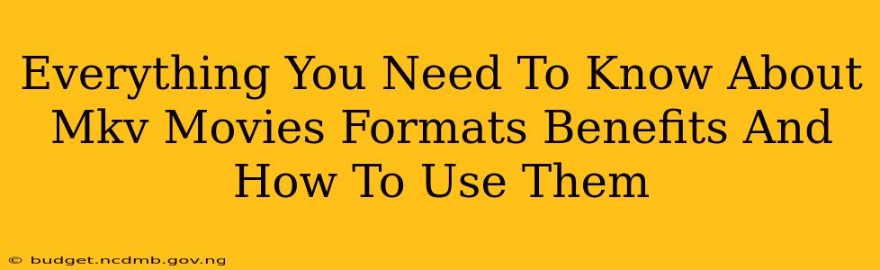 Everything You Need To Know About Mkv Movies Formats Benefits And How To Use Them