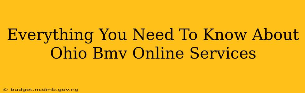 Everything You Need To Know About Ohio Bmv Online Services
