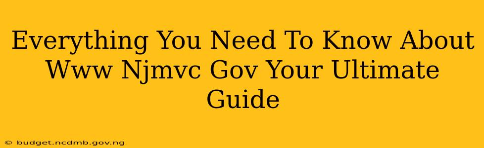 Everything You Need To Know About Www Njmvc Gov Your Ultimate Guide