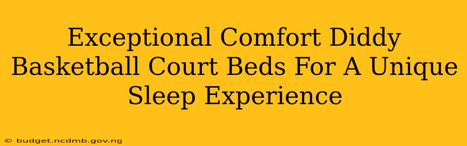 Exceptional Comfort Diddy Basketball Court Beds For A Unique Sleep Experience
