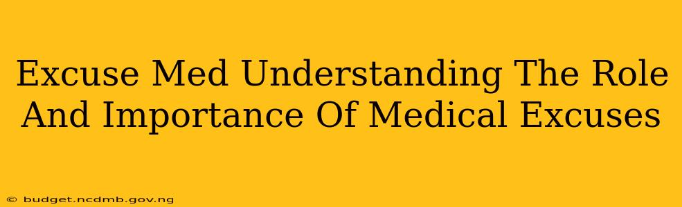 Excuse Med Understanding The Role And Importance Of Medical Excuses