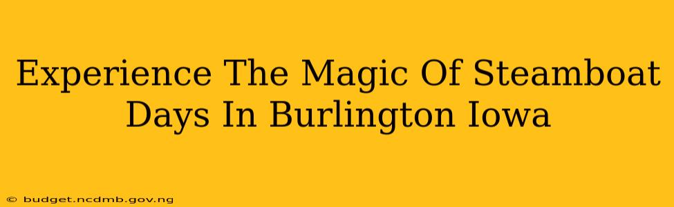 Experience The Magic Of Steamboat Days In Burlington Iowa