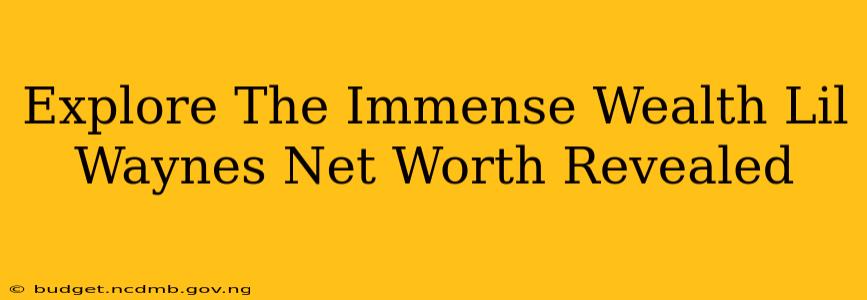 Explore The Immense Wealth Lil Waynes Net Worth Revealed