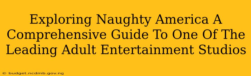 Exploring Naughty America A Comprehensive Guide To One Of The Leading Adult Entertainment Studios