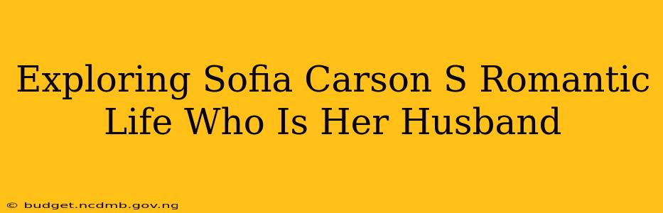 Exploring Sofia Carson S Romantic Life Who Is Her Husband