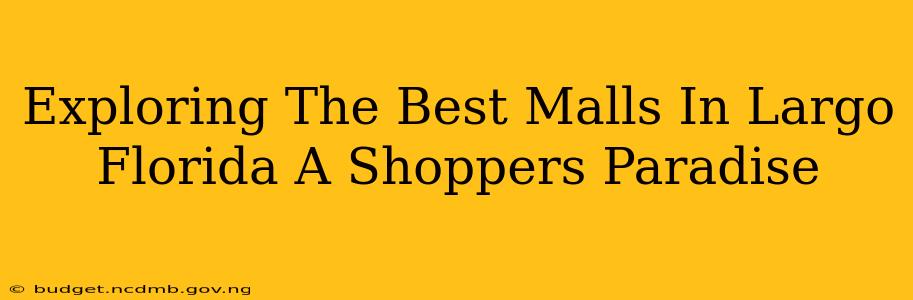 Exploring The Best Malls In Largo Florida A Shoppers Paradise