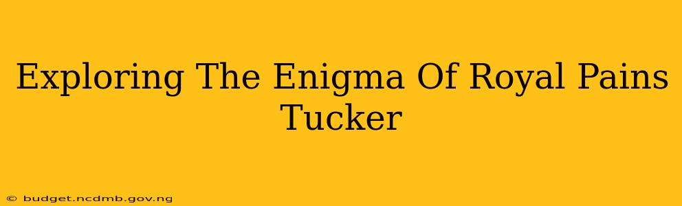 Exploring The Enigma Of Royal Pains Tucker