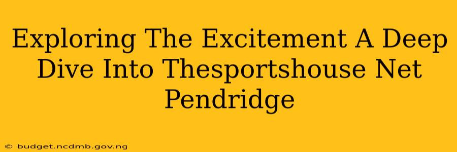 Exploring The Excitement A Deep Dive Into Thesportshouse Net Pendridge