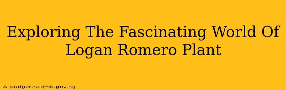 Exploring The Fascinating World Of Logan Romero Plant