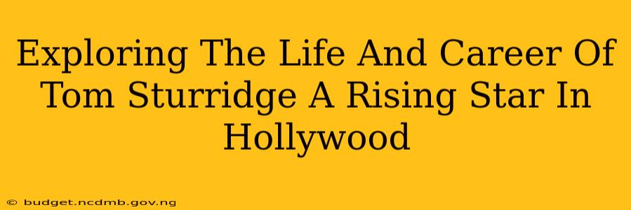 Exploring The Life And Career Of Tom Sturridge A Rising Star In Hollywood