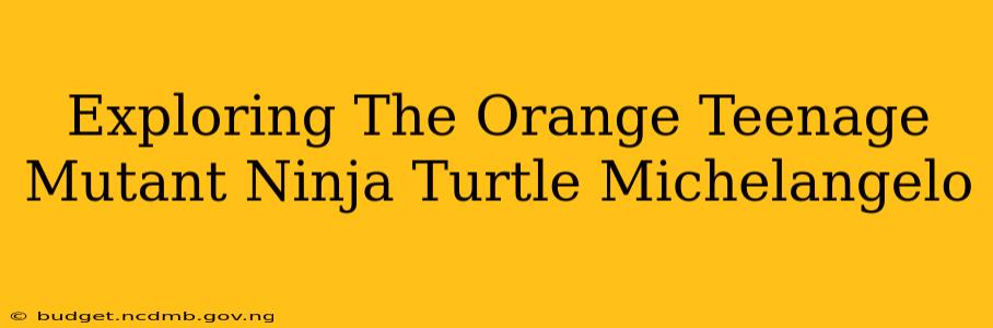 Exploring The Orange Teenage Mutant Ninja Turtle Michelangelo