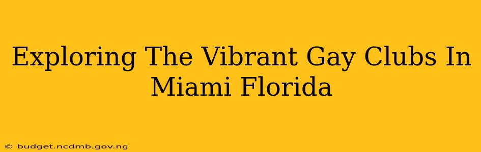 Exploring The Vibrant Gay Clubs In Miami Florida