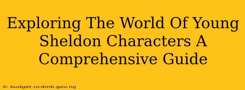 Exploring The World Of Young Sheldon Characters A Comprehensive Guide