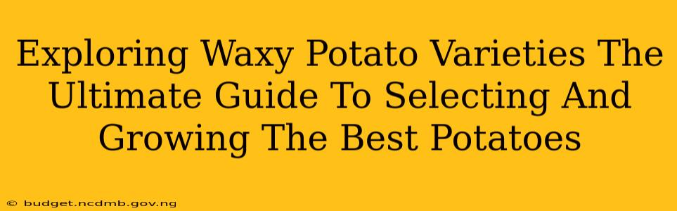 Exploring Waxy Potato Varieties The Ultimate Guide To Selecting And Growing The Best Potatoes
