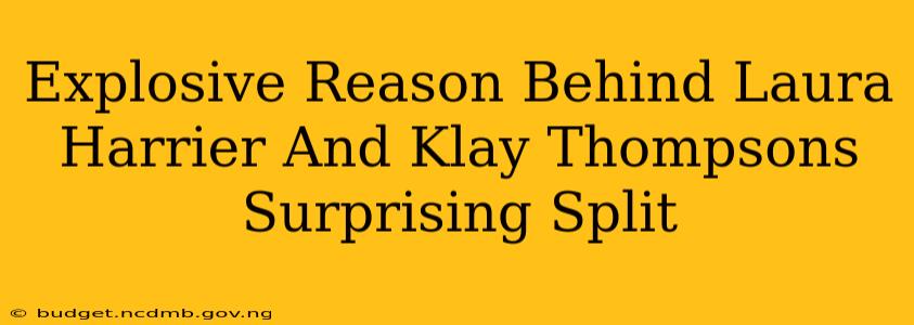 Explosive Reason Behind Laura Harrier And Klay Thompsons Surprising Split