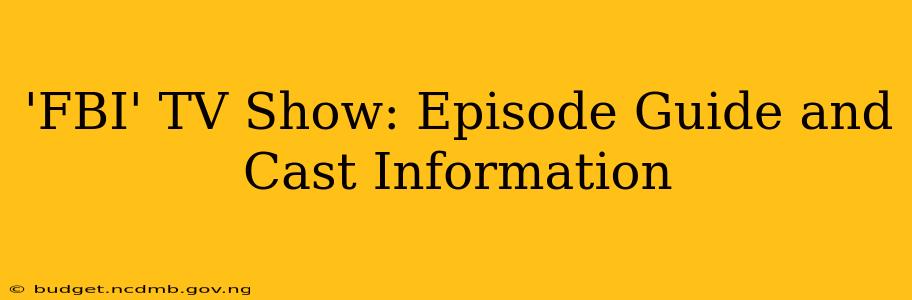 'FBI' TV Show: Episode Guide and Cast Information