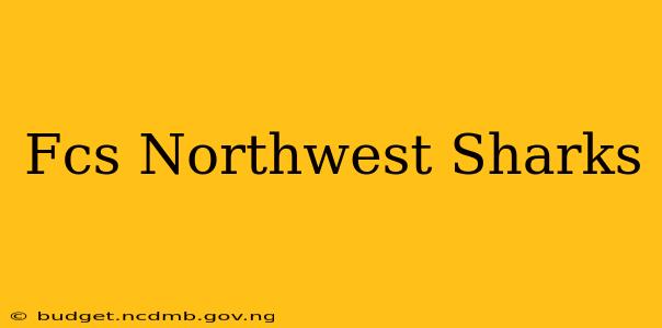 Fcs Northwest Sharks