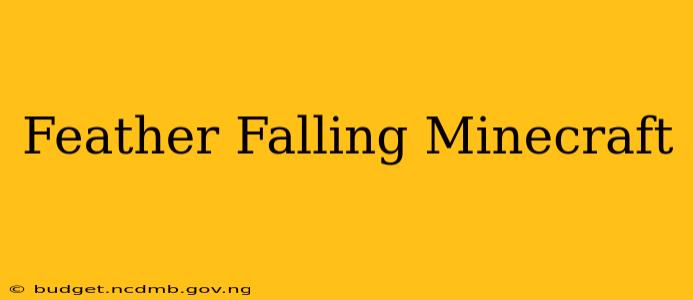 Feather Falling Minecraft