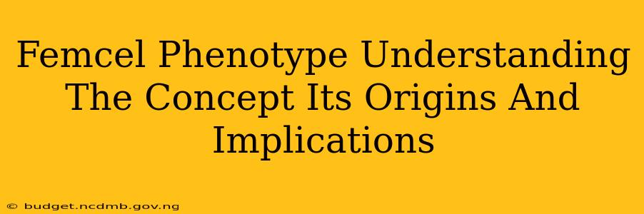 Femcel Phenotype Understanding The Concept Its Origins And Implications