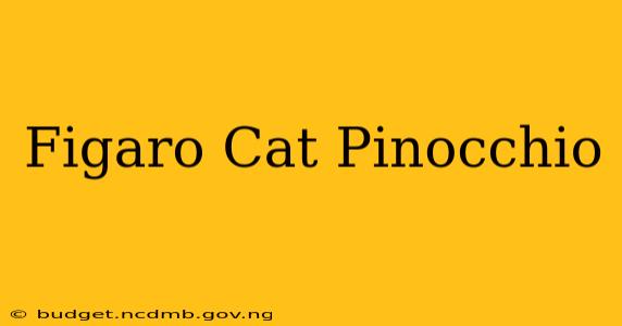 Figaro Cat Pinocchio