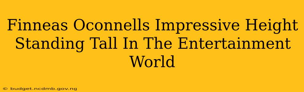 Finneas Oconnells Impressive Height Standing Tall In The Entertainment World