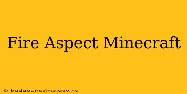 Fire Aspect Minecraft