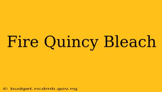 Fire Quincy Bleach