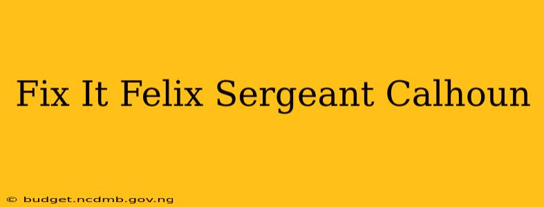 Fix It Felix Sergeant Calhoun